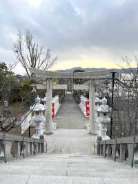 【福岡観光】可愛いあひるがお出迎え♡鎮座1250年を迎える神社⛩