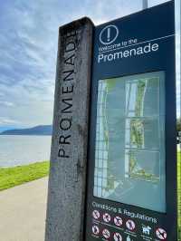 Cairns Esplanade Charles Street Parkland