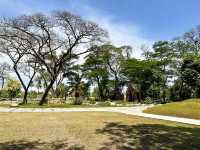 คาเฟ่บรรยากาศดี อู่ทอง สุพรรณบุรี