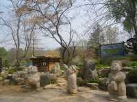 【首爾景點】「汝矣島公園」：首爾市中心清幽綠洲🌳，享受大自然，令人感到份外滿足‼️
