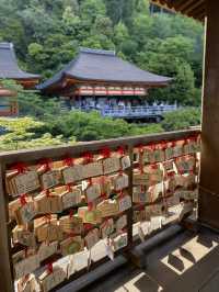 【京都】早朝の清水寺