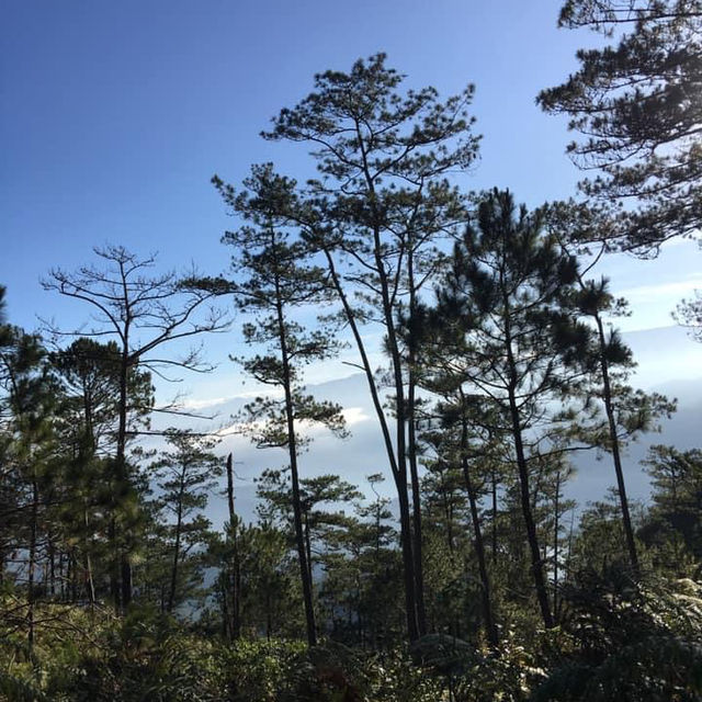 Marlboro Country ,Grassy Land in Sagada ,Mt.Provin