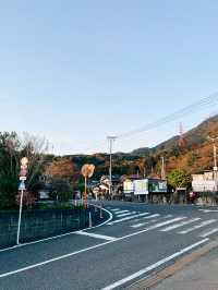 🇯🇵日本福岡景點⛩️ 寶滿宮 竈門神社🌸