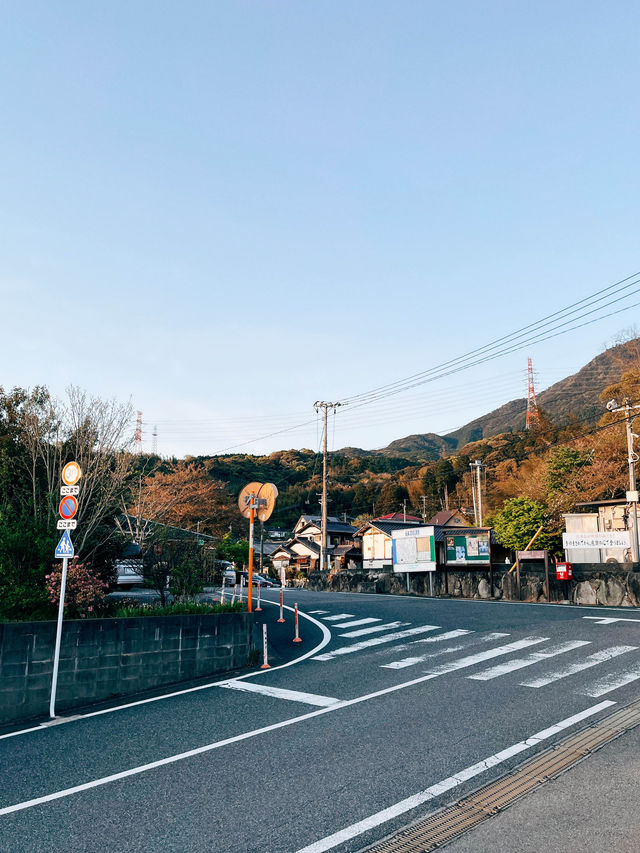 🇯🇵日本福岡景點⛩️ 寶滿宮 竈門神社🌸