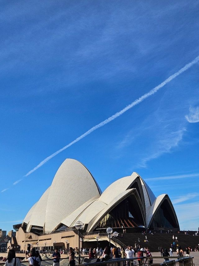 🇦🇺시드니에서의 특별한 9가지 경험