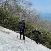Unveil Hokkaido's Alpine Wonders