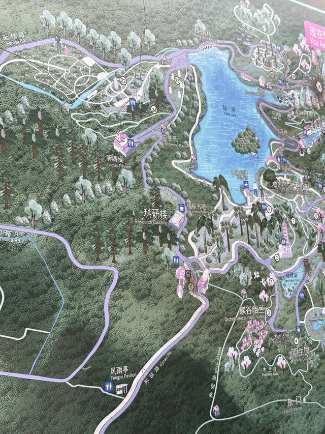 【大自然之旅】仙湖植物園：適合現在前往！