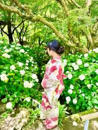 〜神奈川県〜鎌倉で混まない！穴場あじさいスポット！
