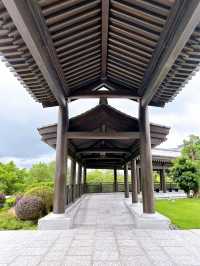 Discovering Peace and Tranquility at Tsz Shan Monastery in Hong Kong