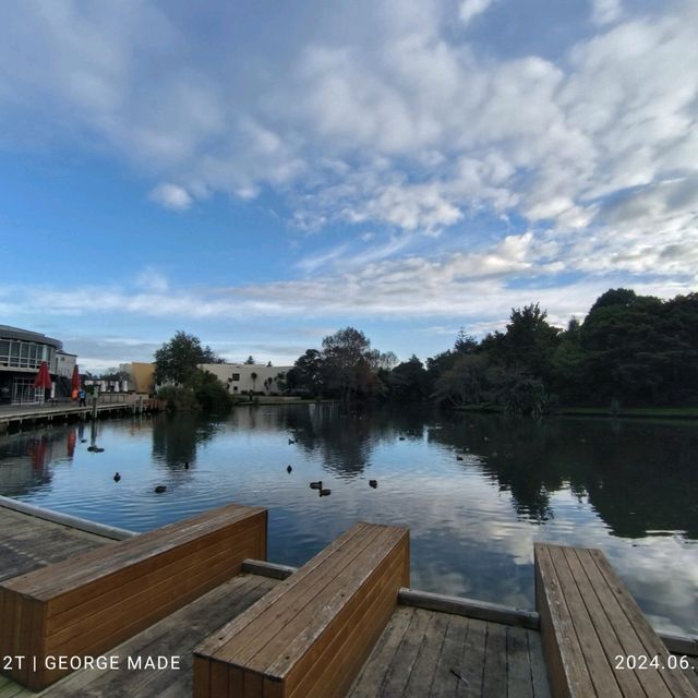探索新西兰🇳🇿怀卡托大学校园活动