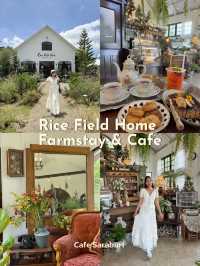 Rice Field Home Farm Stay & Cafe 🌳🍃 