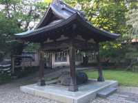 靈性與美景的融合：探索彌高神社