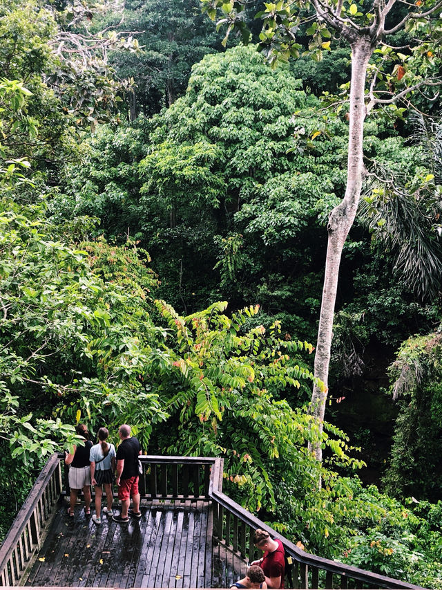  Spiritual & Memorable Visit : 🇮🇩Ubud Bali