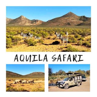 Wild Adventure: Aquila Safari Soars to New Heights