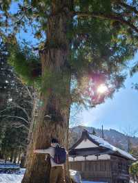 「白川鄉」我們終於來了！