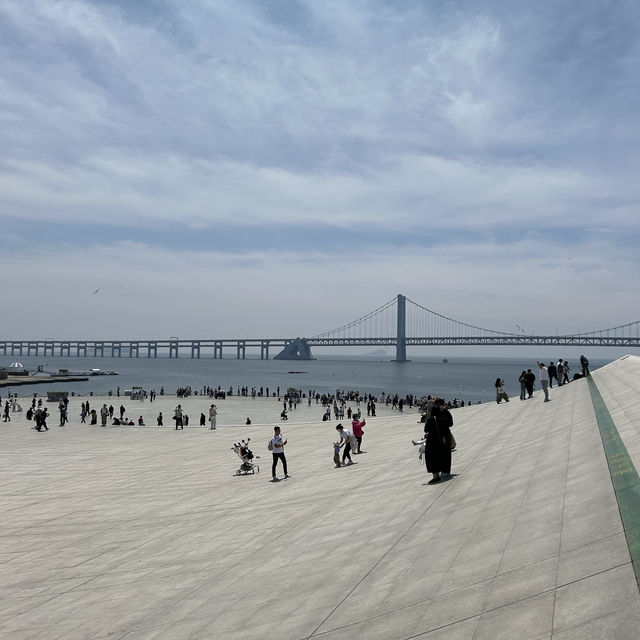 전세계에서 가장 큰 광장, 성해광장☀️