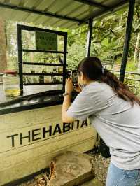 Explore The Habitat Penang Hill