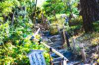 【愛知】新緑がきれいな徳川園