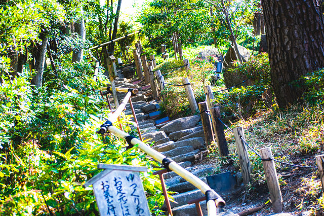 【愛知】新緑がきれいな徳川園
