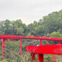 สะพานแดง ในป่าเมืองจีน深圳树林里的红色桥
