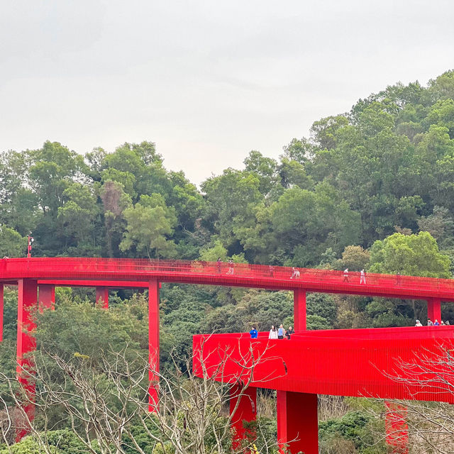 สะพานแดง ในป่าเมืองจีน深圳树林里的红色桥