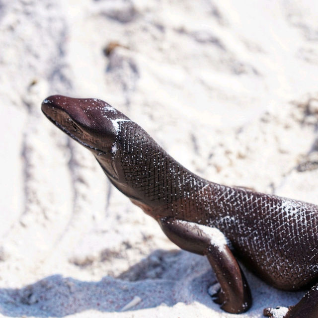 Exploring the Ancient Wonders of Komodo Island