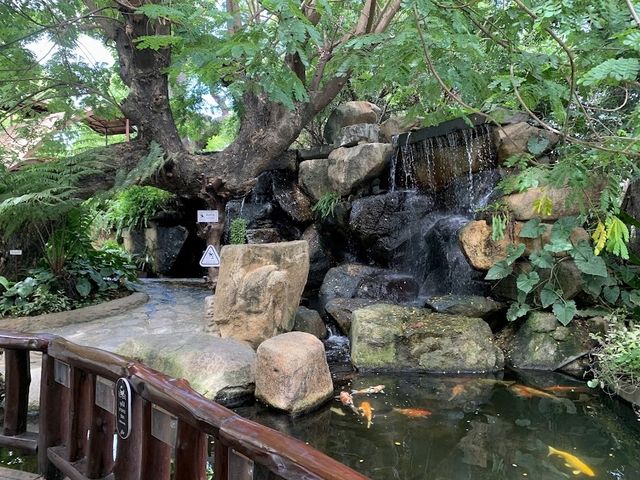 The Garden Cafe - สามโคก ปทุมธานี