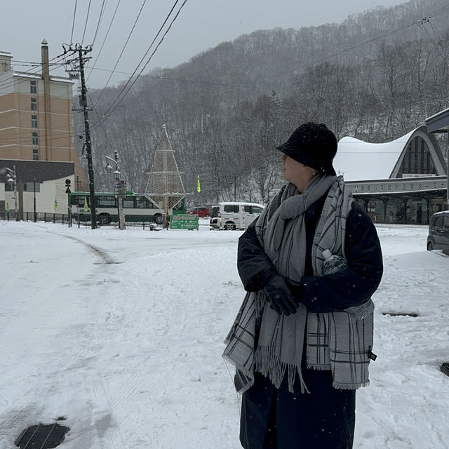 Japan-Hokkaido Travel 
