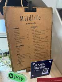 韓国/ソウル【狎鴎亭】Mildlife