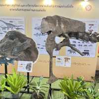 พิพิธภัณฑไดโนเสาร์🦖🦕