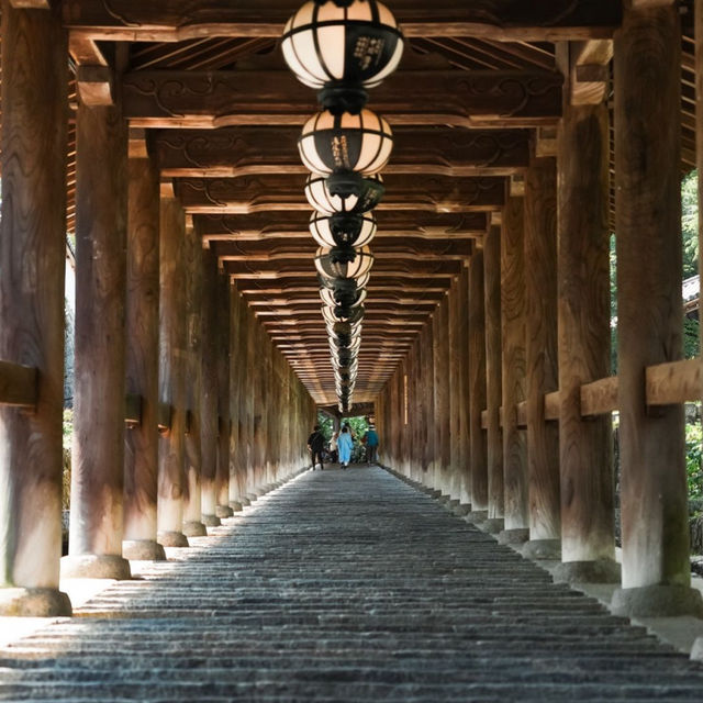 【神奈川/鎌倉】まさに和の空間「長谷寺」