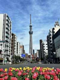 【東京】晴空塔：網紅地打卡，世界最高電視塔🔥🏖️