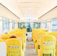 【片道2000円以下】この夏行きたい長瀞日帰り旅行✨