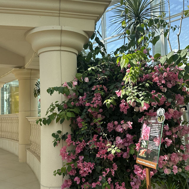 《水原》 あの大ヒットドラマの撮影地！일월수목원　💐