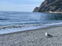 歐洲人最愛的海灘～五漁村～Monterosso al Mare