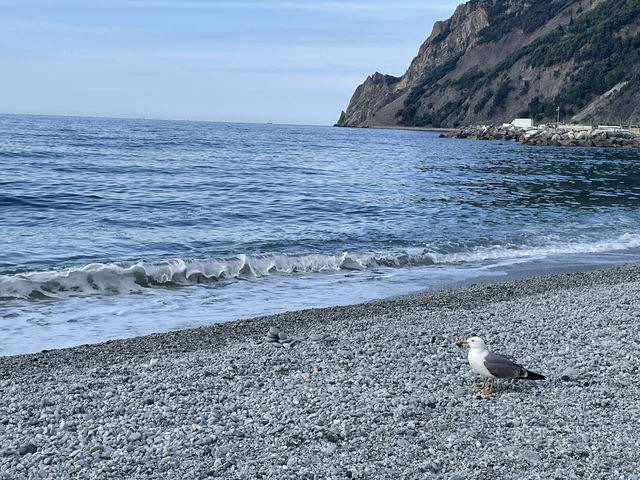 歐洲人最愛的海灘～五漁村～Monterosso al Mare