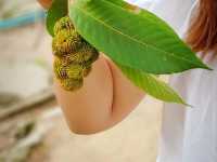 น้ำตกพรหมโลก จ.นครศรีธรรมราช