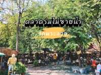 ตลาดร่มไม้ชายน้ำ วัดพระลอย