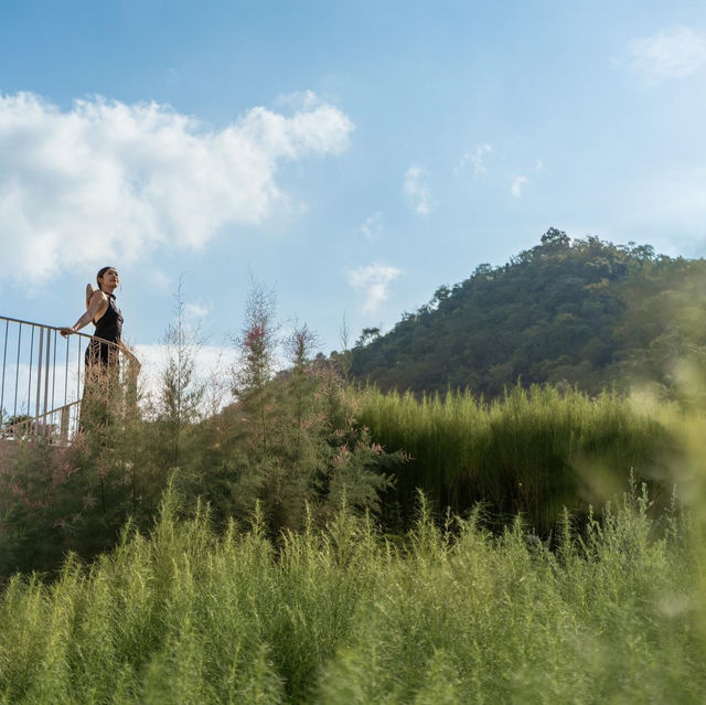 MYS Hotel Khaoyai