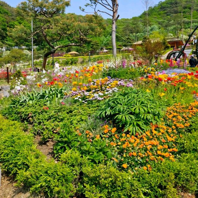 아름다운 꽃들의 향연  <화개정원>