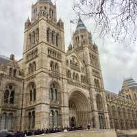 Exploring the Natural History Museum in London