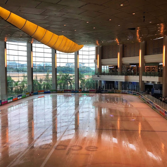 Family Fun on Ice: Discover Icescape IOI Family Fun on Ice: Discover Icescape IOI