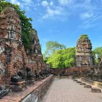 Divine Encounter: The Sacred Buddha Head Entwined in Banyan Roots
