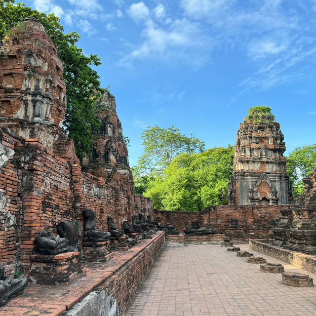 Divine Encounter: The Sacred Buddha Head Entwined in Banyan Roots