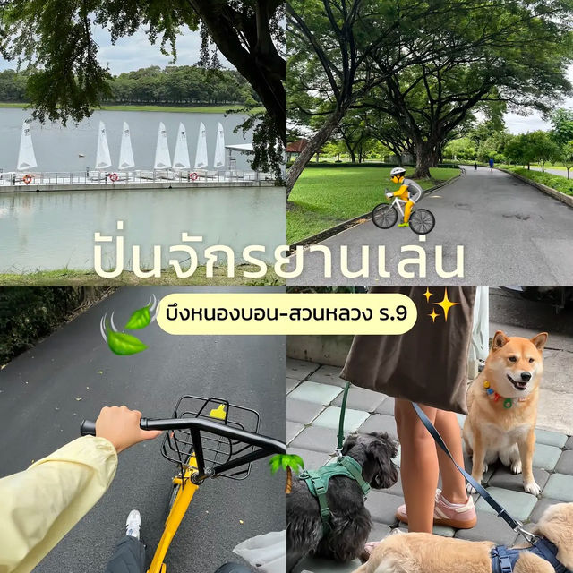 สวนหลวงร.9 ||  ศรีนครินทร์ 