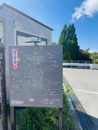 【兵庫県:六甲山】シダレミュージアムで開催中「パワーワード展」