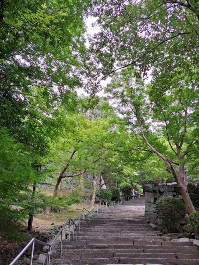 【唐津城:佐賀県唐津市】唐津を代表する観光スポット👍️