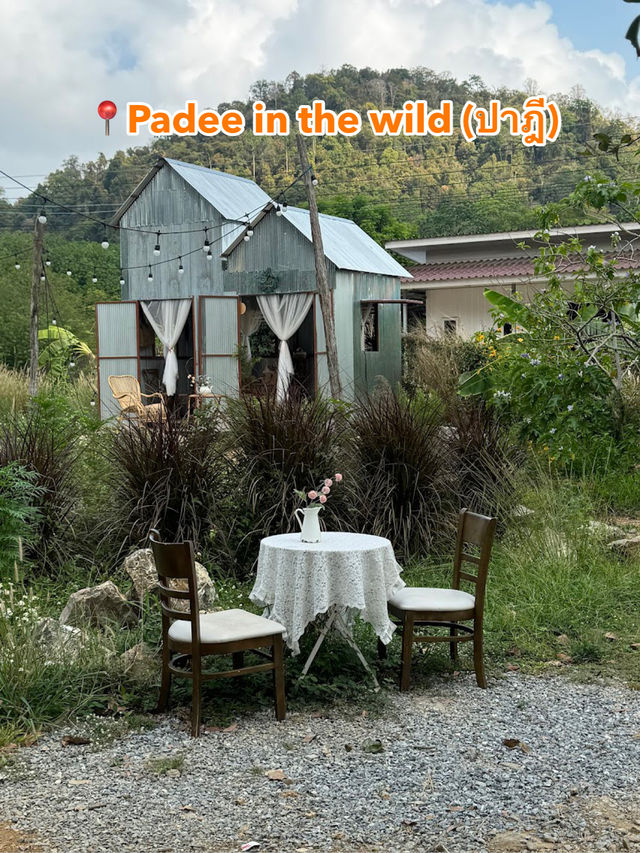 📍Padee in the wild (ปาฎี)