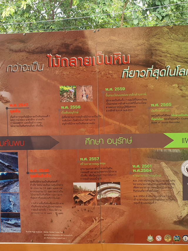พิพิธภัณฑ์ ไม้กลายเป็นหิน