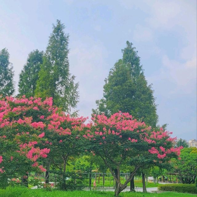 보보경심려 촬영지로 유명한 월화원